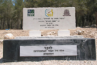 גלעד יער אלף העצים ביער חרובית