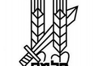 פלמ"ח