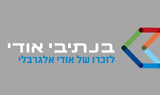בנתיבי אודי