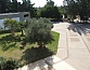 עצי הנוי ברחבת הטכסים