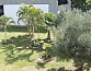 עצי הנוי ברחבת הטכסים